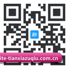 系统版 iOS 二维码